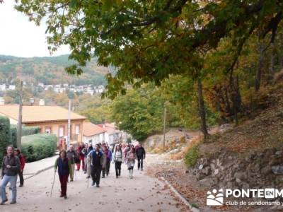 El Castañar de El Tiemblo, Casillas Ávila senderismo; excursiones con perros